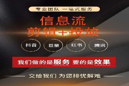 搜索引擎营销（SEM）的精准投放技巧案例